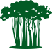 Zurich – The Forest